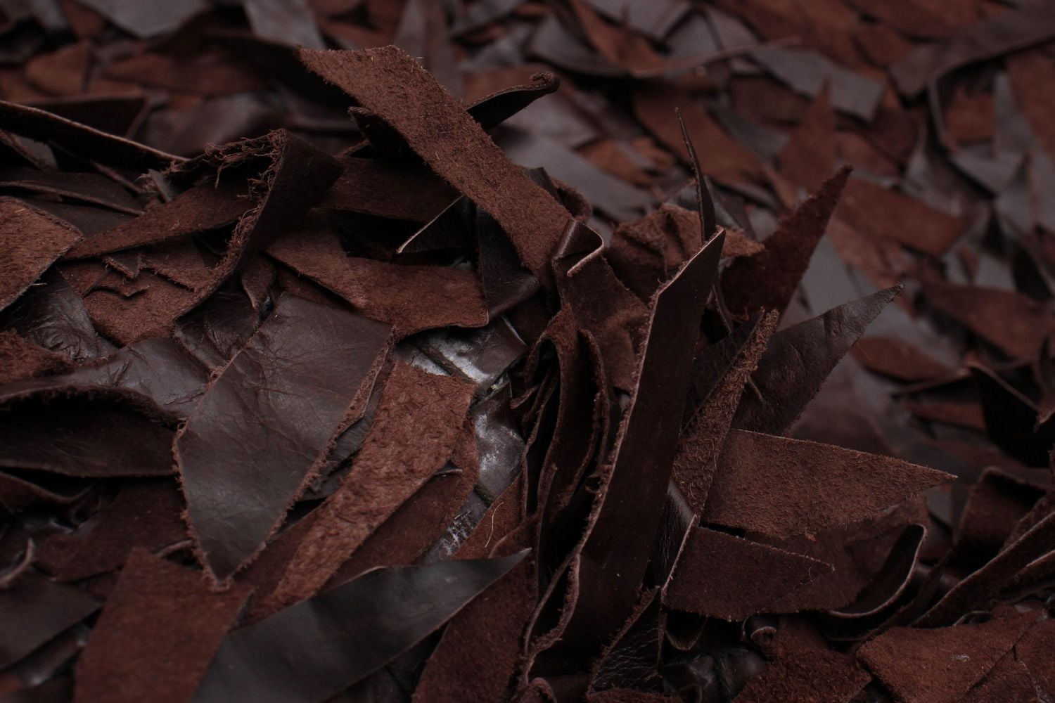 Tapis ECARPETGALLERY Timeless Brun 4'0" x 6'0"