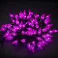 thumbnail image 1 of Guirnalda de luces Twinkle Star C6 100 bombillas LED morado 33 pies, 1 of 6