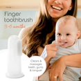 thumbnail image 3 of fafa-Toothbrush Set (3-24 Months) - 3-Pack Finger, Training & Toddler Toothbrushes, BPA-Free, Newborn Essentials, 3 of 4