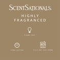 thumbnail image 4 of ScentSationals Scented Wax Cubes - Warm White Sands, 4 of 5