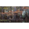 thumbnail image 3 of Head, Danny 18x12 Black Modern Framed Museum Art Print Titled - On the Bayou II, 3 of 5