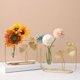 thumbnail image 4 of Jarrón hidropónico Zulema, Florero Ginkgo Biloba, terrario, Tubos de ensayo, Decoración de oficina, Interior, 4 of 7