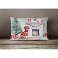 thumbnail image 4 of Carolines Treasures DAC1348PW1216 16 x 12 in. Unisex Dachshund Christmas Fabric Decorative Pillow, 4 of 4