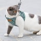 thumbnail image 5 of Arnés para perros de estilo japonés, chaleco para caminar al aire libre, juego de correas (verde S) Tmvgtek Para estrenar, 5 of 7