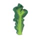 thumbnail image 5 of Juguete de dentición Oli & Carol Kendall The Kale para bebé, 5 of 7