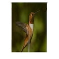 thumbnail image 1 of ABPHQTO Humming Bird Flying Natural Green Japanese Noren Cortina Puerta Ventana Tratamiento Cortinas 85x120 cm, 1 of 1