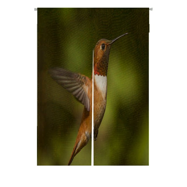 ABPHQTO Humming Bird Flying Natural Green Japanese Noren Cortina Puerta Ventana Tratamiento Cortinas 85x120 cm
