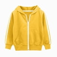 thumbnail image 2 of UAYOTSE Boys Long Sleeved Hooded Sweatshirt Comfortable Warm Fashionable and Casual Zippered Boys Sweatshirt,Sizes 3-4 Years, 2 of 6