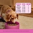 thumbnail image 4 of Pet Honesty Multivitamin Supplement with Salmon Oil for Dogs - Allergy Itch Relief, Digestion, Skin & Coat Health, Liquid Supplement - Dog Food Topper Bone Broth with Prebiotics (12 oz), 4 of 7