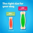 thumbnail image 5 of Hartz Chew n Clean Tuff Bone Dog Toy, Small, Color May Vary, 5 of 11