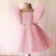 thumbnail image 2 of Vestido de princesa con flores y tutú de malla para niñas pequeñas, vestido de fiesta de cumpleaños para niños de 0 a 6 años, traje de noche de boda para niños, ropa 4T (etiqueta 110) Gao Jinjia LED, 2 of 2