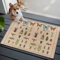 thumbnail image 4 of Animal Biographies Bathroom Rug Washable 2x3 Entryway Rug Non Slip Retro Country Dragonfly Butterflies Brown Front Door Mat Low Pile Indoor Doormat Throw Floor Carpet for Kitchen Bedroom Entrance, 4 of 8