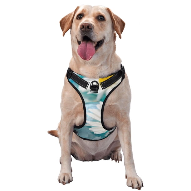 Fotbe Daisy Flowers Arnés para Perro con Estampado –Chaleco Ajustable Acolchado con Asa de Control para Perros Grandes-Medium