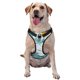 thumbnail image 1 of Fotbe Daisy Flowers Arnés para Perro con Estampado –Chaleco Ajustable Acolchado con Asa de Control para Perros Grandes-Medium, 1 of 6