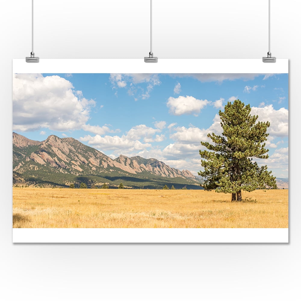 walmart in flatirons