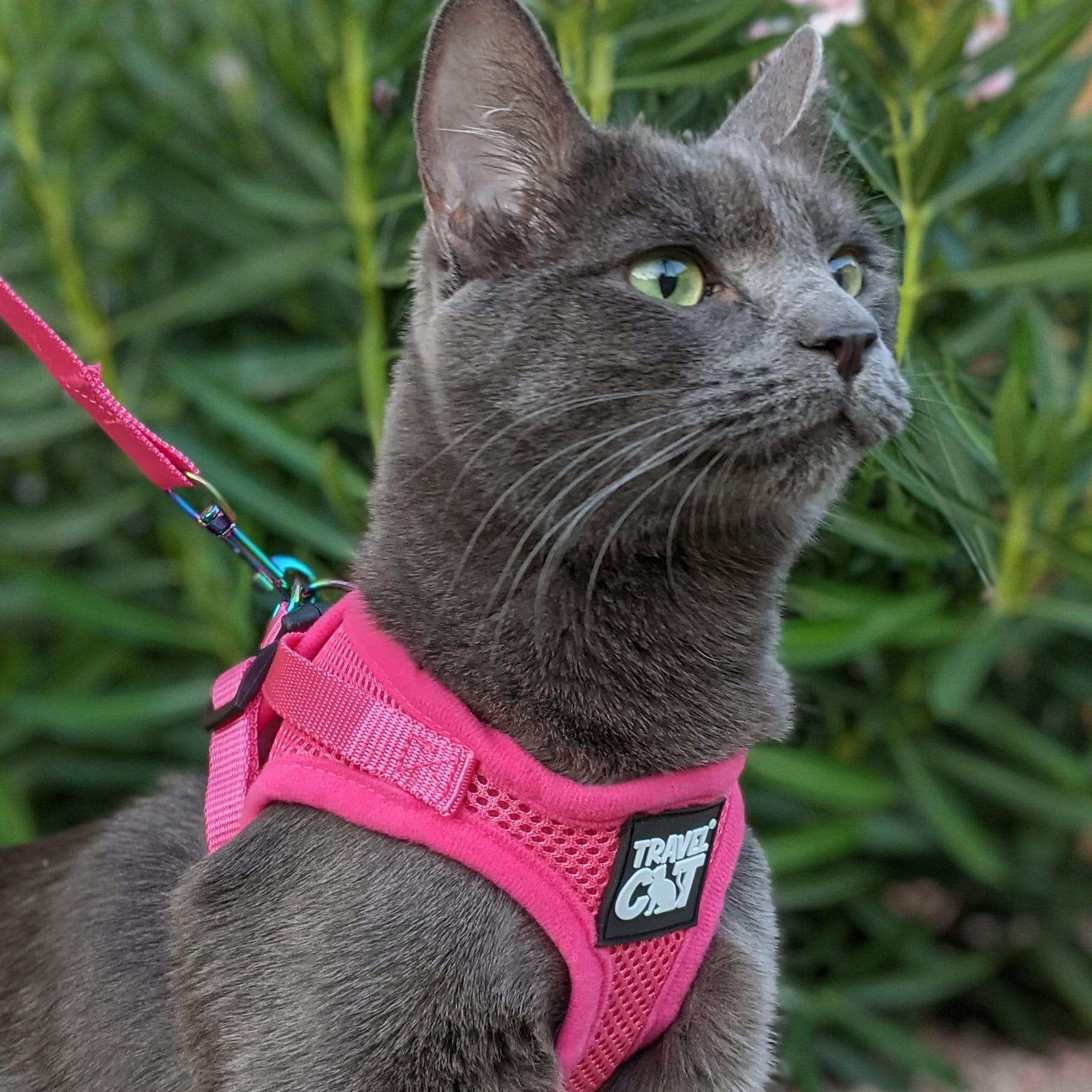 "The Purrfectly Pink" Iridescent Limited-Edition Harness  Leash Set