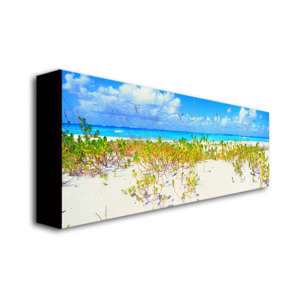 Trademark Art "Turks Beach" Canvas Wall Art by Preston