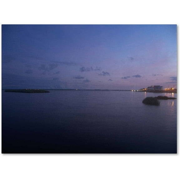 "Pure Elegance" Canvas Art by Monica Fleet