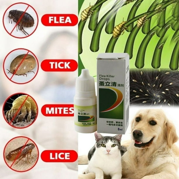 Dog lice remedy cheap