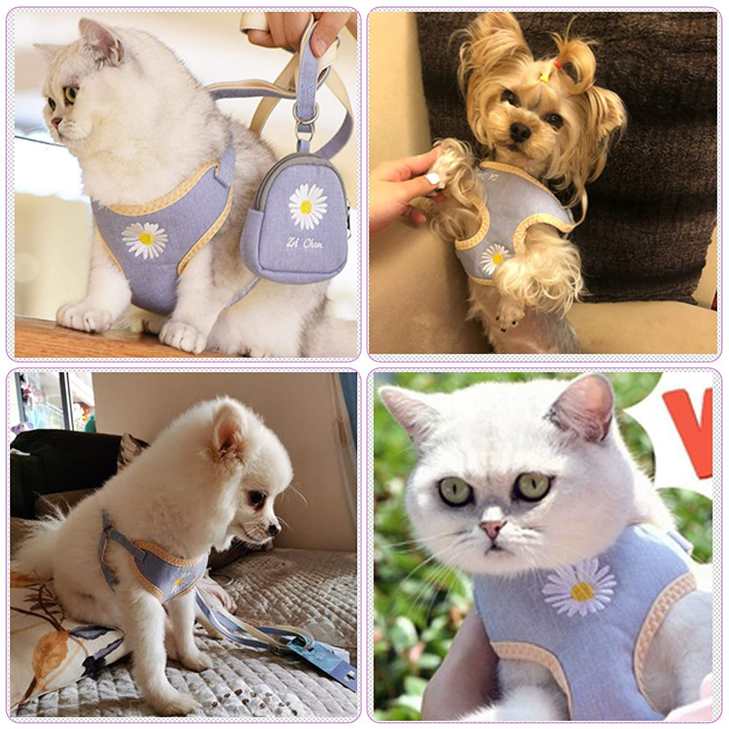 CheeseandU Pet Dog Cat Harness and Leash Set with Bags Soft Mesh Cute Daisy Pattern Embroidery Anti-Escape Dog Cat Walking Vest Harness for Puppy Small Dogs Cats Rabbits Pink
