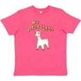 thumbnail image 3 of Inktastic No Prob Llama Cute Llama Youth T-Shirt, 3 of 5