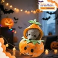 thumbnail image 4 of GASTROPOD Dog Halloween Costumes,Cute Pet Halloween Costumes,Polyester Pumpkin Transformation Costume Small Dog Halloween Costumes,Style3,M, 4 of 7