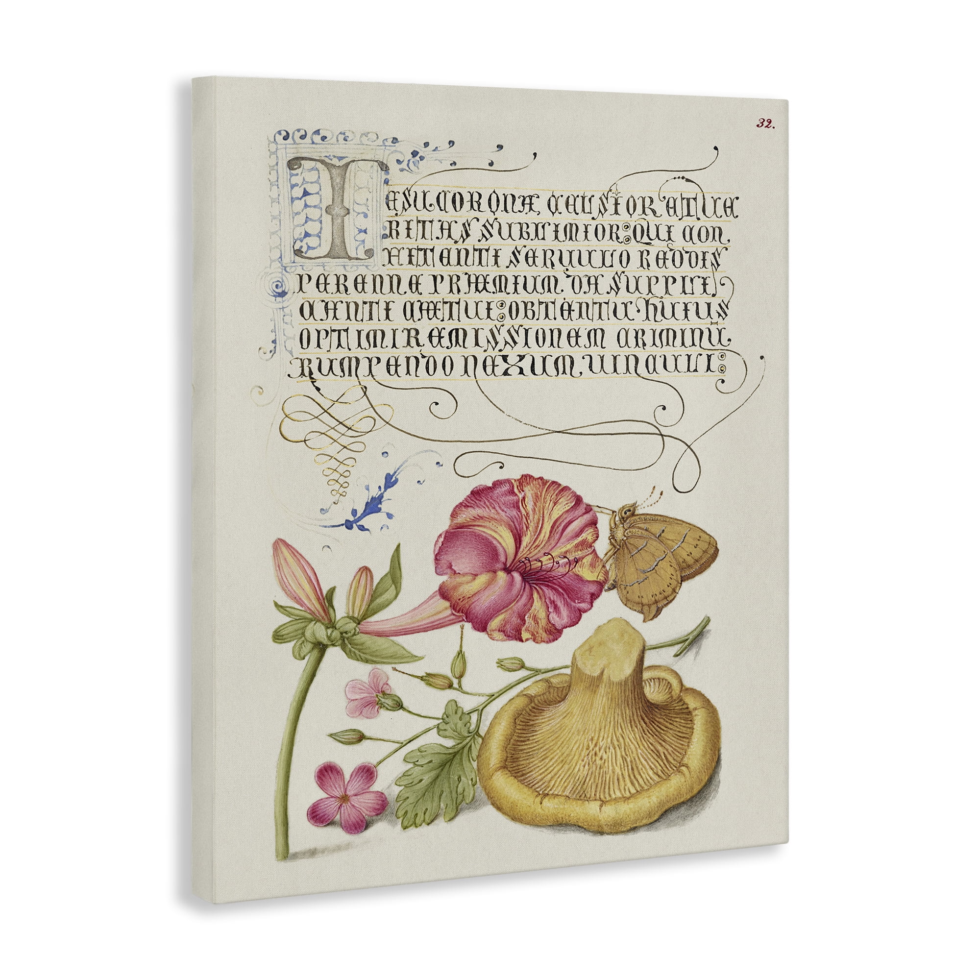 Stupell Industries Woodland Wildlife Study Text & Numbers Painting Wrapped Canvas Art Print Wall Art, 24 x 30