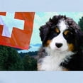 thumbnail image 2 of CafePress - Swiss Berner Puppy Infant Bodysuit - Baby Light Bodysuit, Size Newborn - 24 Months, 2 of 4