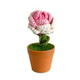 thumbnail image 1 of Crochet Pot Flower Tulip Rose Sunflower Fruit Shape Bright Color Soft Cute Craft Birthday Gift Colorfast Hand-knitted Flower Desk, 1 of 10