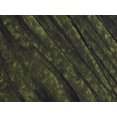 thumbnail image 2 of Richeson SP121240 Oil Paint Artist Color Sap Green, 2 of 2