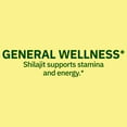thumbnail image 6 of Spring Valley Shilajit 50% Fulvic Acid, 500mg, 60 Vegetarian Capsules, 6 of 11