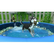 Little Friends Puppy Island (Nintendo Switch)