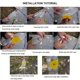 thumbnail image 4 of 5PC Agricultural And Forestry Fly Bee Funnel Traps No Poison Or Chemical, 4 of 5