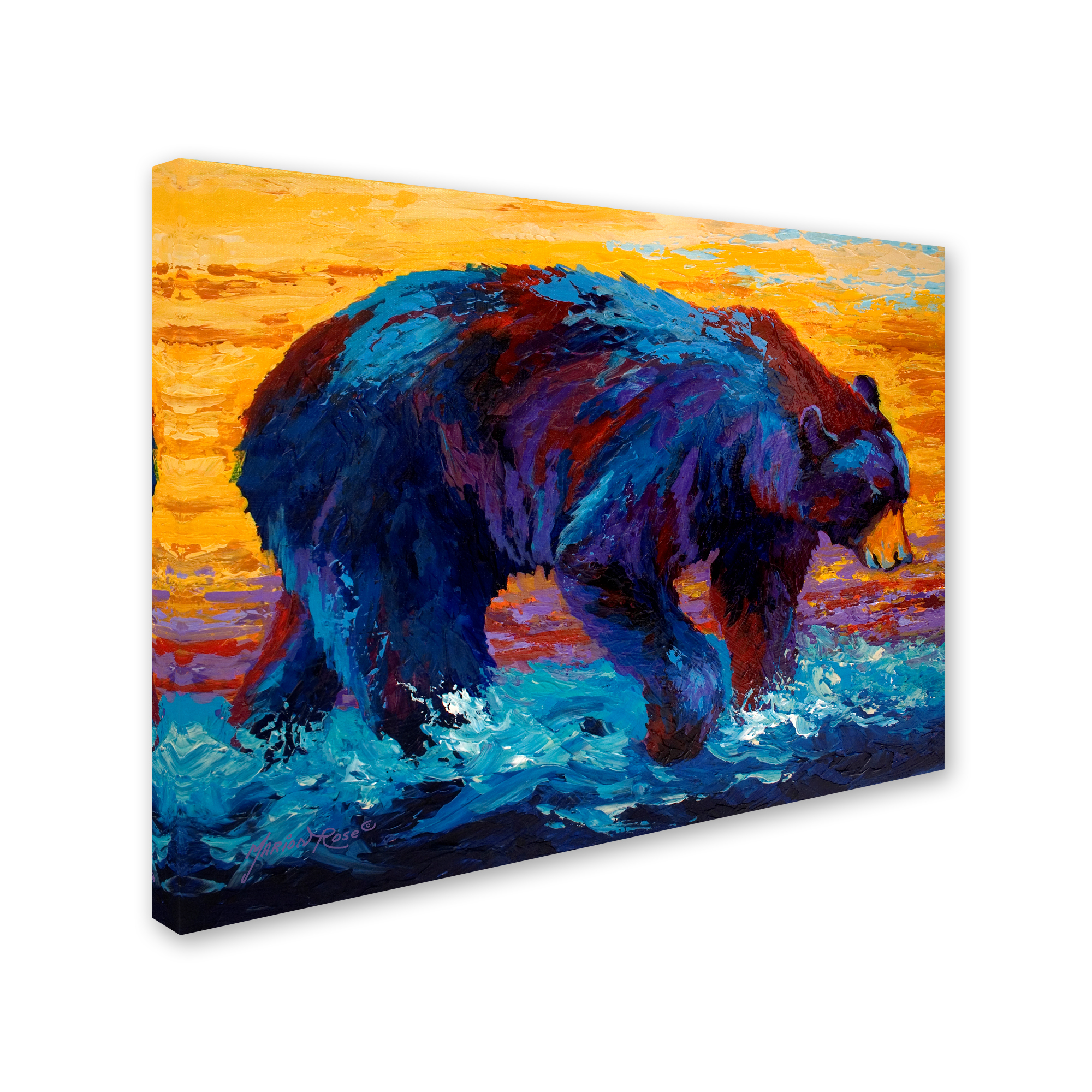 Trademark Fine Art 'Rivers Edge II' Canvas Art by Marion Rose