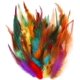 thumbnail image 1 of 200 piezas de plumas coloridas para manualidades, bodas, decoraciones para fiestas en casa, 3-6 pulgadas, plumas de gallo Hackle para sillín, plumas artesanales, 1 of 5