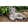 thumbnail image 2 of Hi- Line Gift 87695-A Snow Leopard Cub Statue, 2 of 5