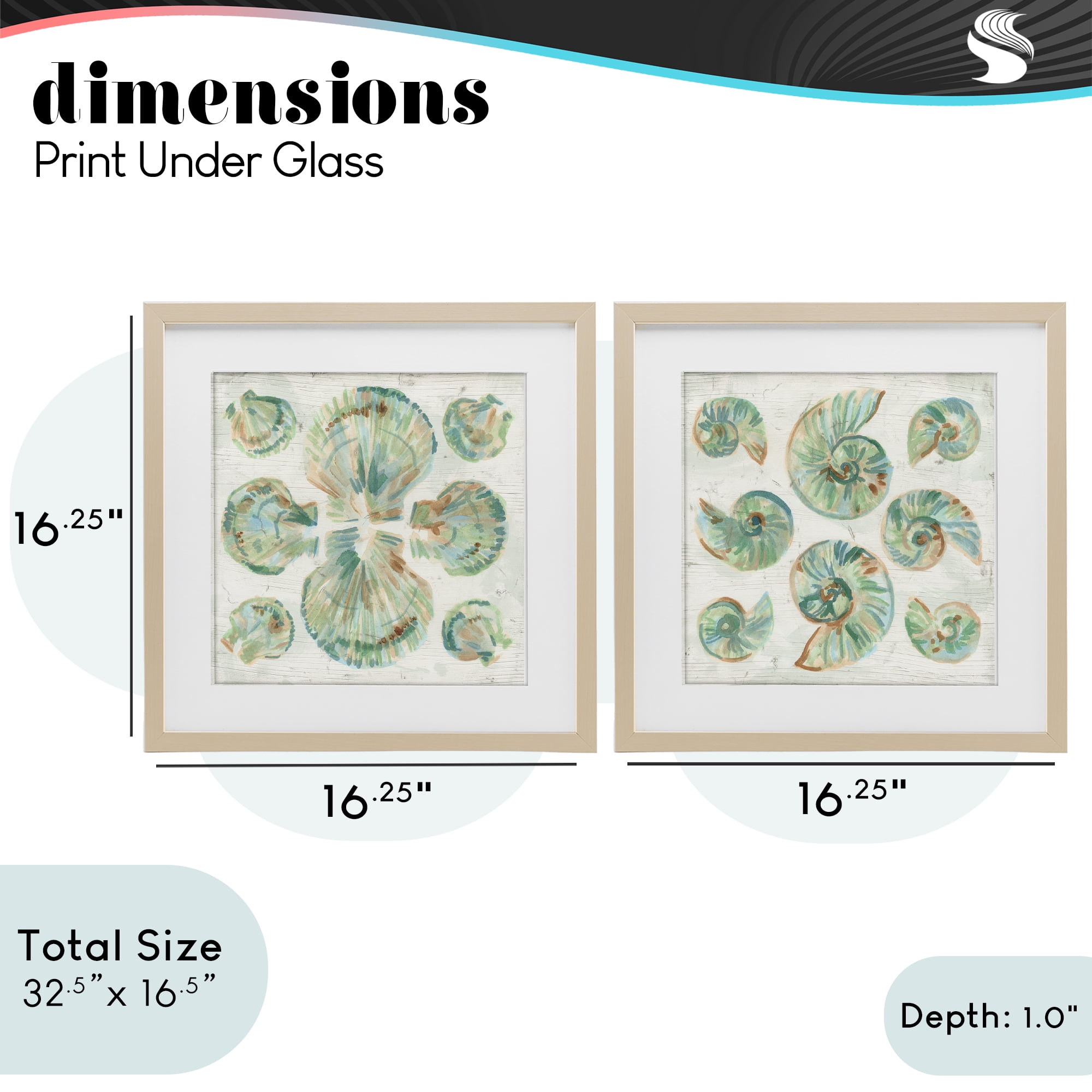 Stupell Industries Saltwashed Seashells Pattern 2 Piece Birch Framed Print Under Glass Set, design by June Erica Vess