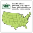 Expert Gardener Kentucky 31 Tall Fescue Grass Seed, 50 lb.