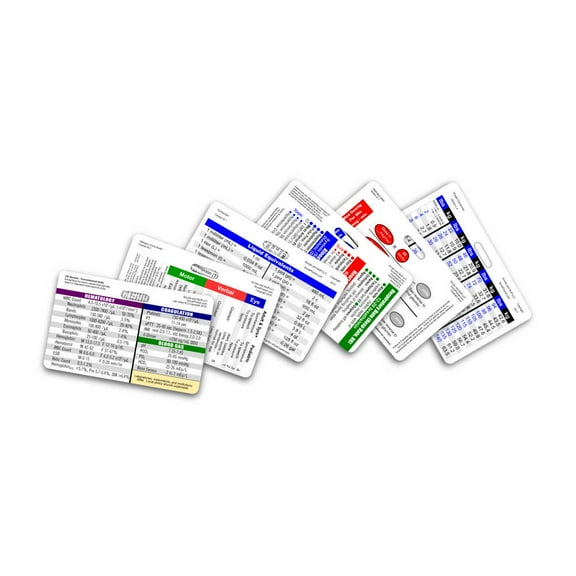 Mini Nurse 6 Card Horizontal Badge Reference Set