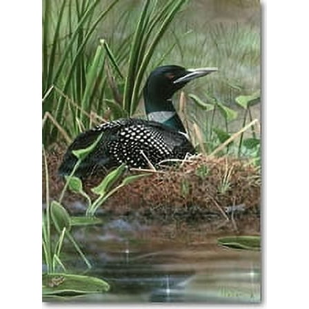 Willow Creek Press Symbol of the North - 1000 Pieces Jigsaw Puzzle