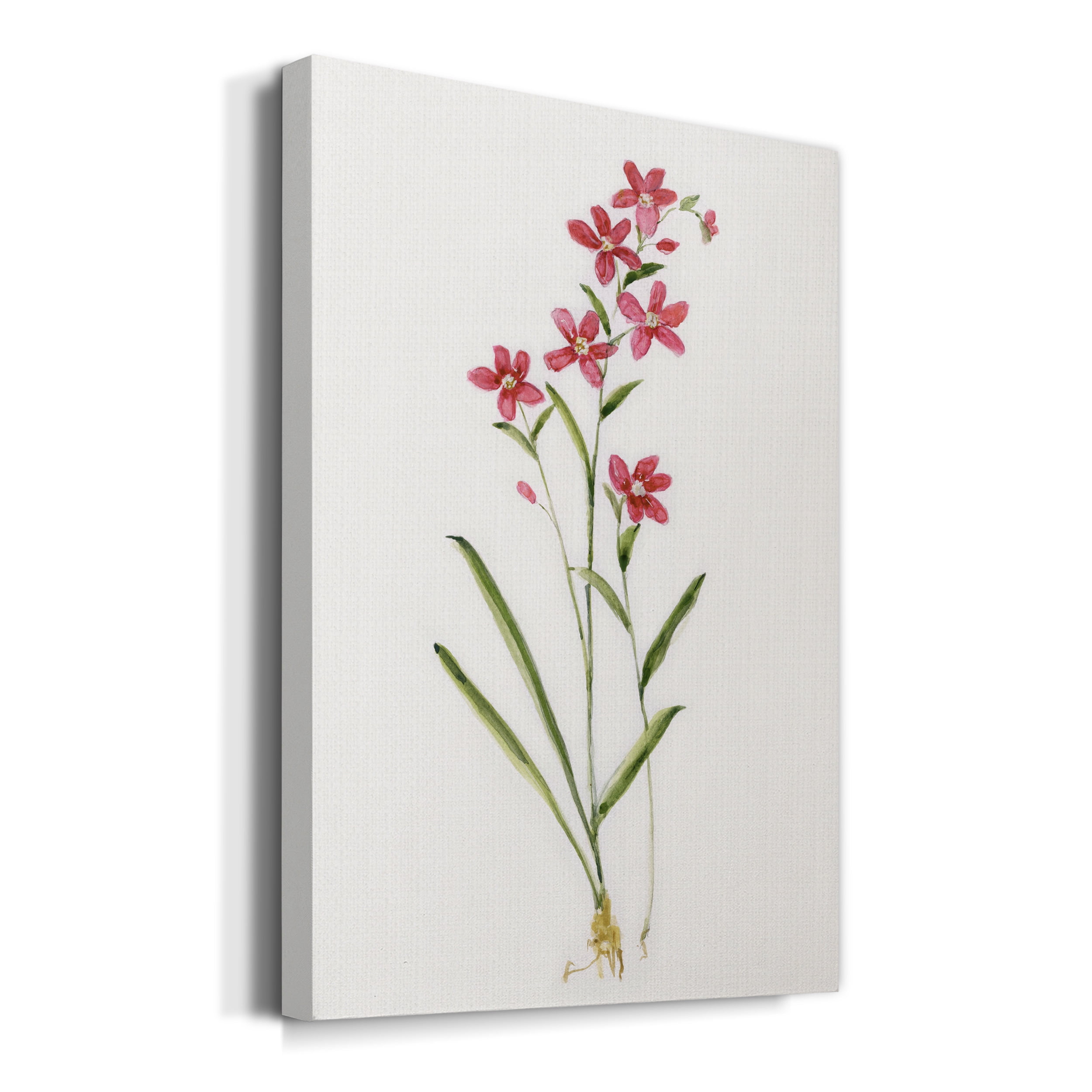 Delicate Pink I Premium Gallery Wrapped Canvas - Ready to Hang - 32 x 48