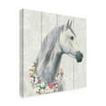 thumbnail image 2 of James Wiens 'Spirit Stallion I on wood Square' Canvas Art, 2 of 3