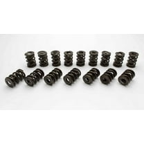 Manley 221432-16 MPP221432-16 NEXTEK VLV SPRINGS OVAL TRK