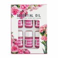 thumbnail image 1 of 3ML 6PCS Aceites esenciales solubles en agua Set Aceite de aromaterapia natural puro Labymos Aceites esenciales, 1 of 6