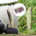 thumbnail image 4 of Juego de moscas atadas, moscas streamer, caja de moscas, señuelo de pesca, surtido de moscas de pesca húmedas G, 4 of 9