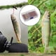 thumbnail image 4 of Juego de moscas atadas, cebo artificial para pesca de trucha con cucharillas y lanzador G, 4 of 9