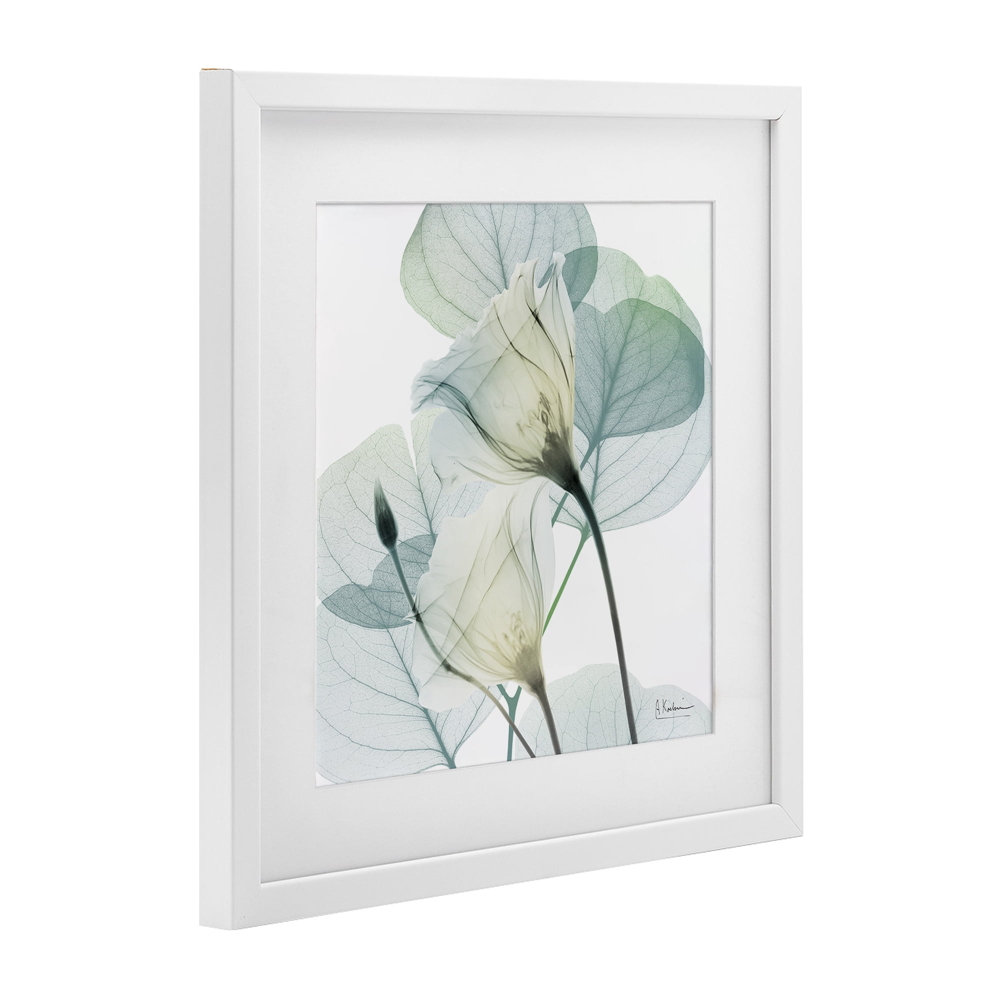 Stupell Industries Divine Fate Petals White Framed Print Under Glass, design by Albert Koetsier