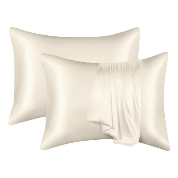 Pure Natural Mulberry Silk Pillow Cases with Zipper King Size, Luxury Momme Silk Pillowcase for Hair and Skin, Hypoallergenic, 20"x27"