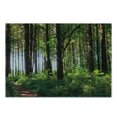 thumbnail image 3 of Forest Cutting Board, Pathway in a Shady Forest of Bushes and Thick Trunks Grass Unique Wild Life Scenery, Decorative Tempered Glass Cutting and Serving Board, Small Size, Green Brown, by Ambesonne, 3 of 5
