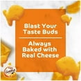 thumbnail image 4 of Goldfish Flavor Blasted Xtra Cheddar Cheese Crackers, 6.6 oz - Pepperidge Farm Goldfish Flavor Blasted Extra Cheddar Snack Crackers 6.6oz, 4 of 5